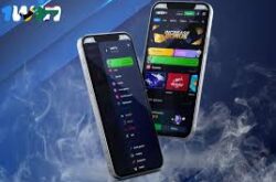 Aviator Game 1win A New Era of Online Gaming