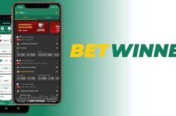 Everything You Need to Know About Betwinner Login 14
