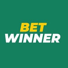 Everything You Need to Know About Betwinner Login 14