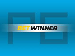 Everything You Need to Know About Betwinner Login 14